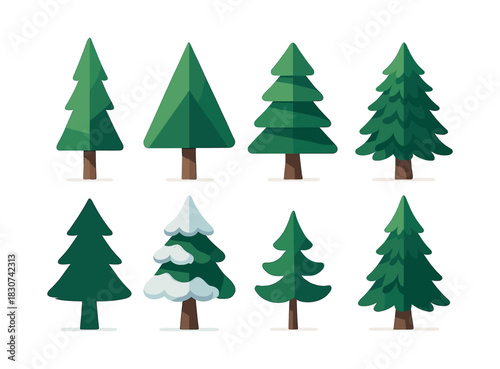 Evergreen tree collection, flat vector illustration, pine, fir, spruce trees