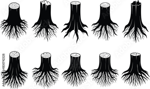 Set of ten tree stump and exposed root silhouettes, natural wood log base, forestry, cutting, and environmental vector icons collection.