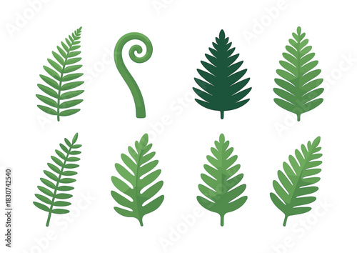 Fern leaf collection, botanical elements, fronds set, flat vector illustration
