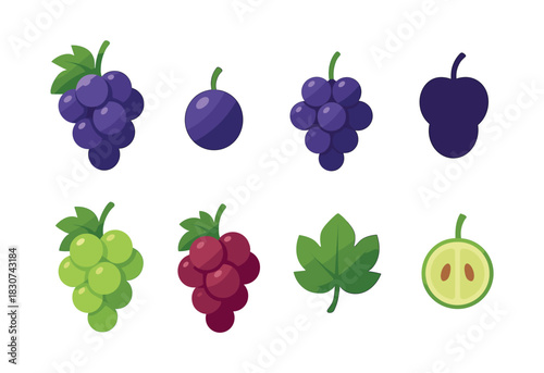 Grape varieties and leaf flat vector illustration, fruit art, nature design