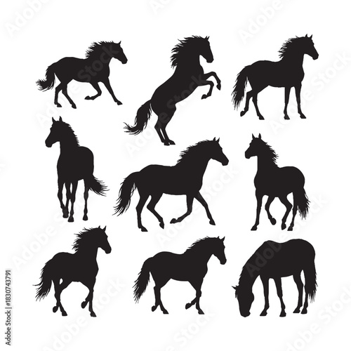 Wild Horse Silhouettes
