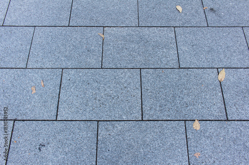 Wallpaper Mural Texture of square paving tile. Pattern of blue tiles in the street. Concrete pavers with autumnal leaves close up background. Torontodigital.ca