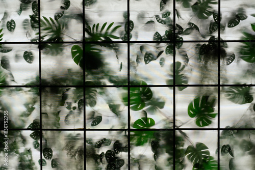 Frosted glass reveals the lush leaves of the monstera, combining geometric structure with natural beauty. Soft light and shadow create a calming botanical backdrop.