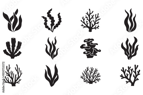 "Diverse Marine Coral Silhouette Vector Set with Detailed Reef and Seaweed Illustrations"