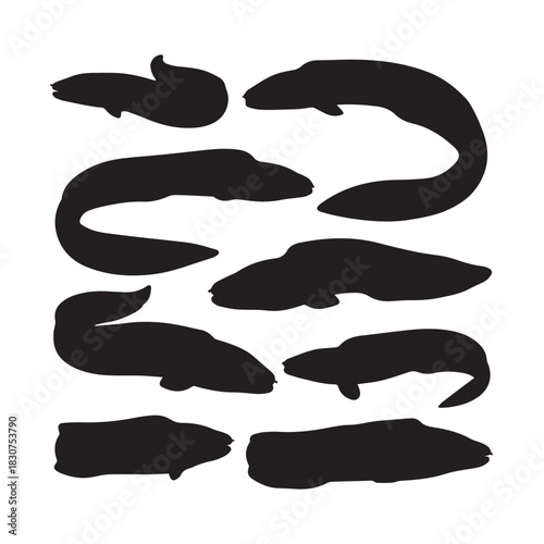Eel Silhouettes