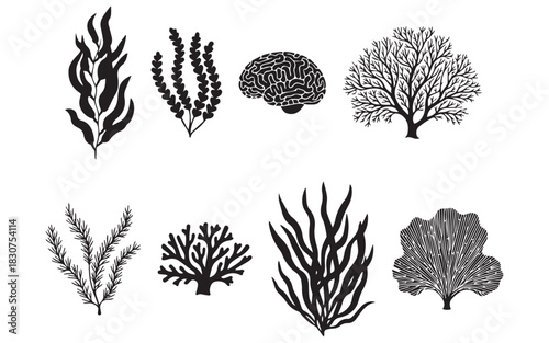 "Diverse Marine Coral Silhouette Vector Set with Detailed Reef and Seaweed Illustrations"