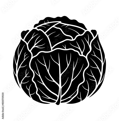 A stylized, black and white illustration depicts a cabbage with intricate leaf details