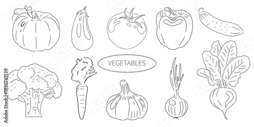Hand drawn vegetables set line art