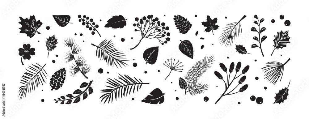 Fototapeta premium Winter or autumn plant branch, tree and leaves. Christmas fir, pine cone and holly berry, rowan. Coniferous floral set, black doodle evergreen foliage isolated on white bg. Nature vector illustration