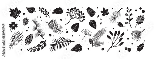 Winter or autumn plant branch, tree and leaves. Christmas pine cone and berry. floral set, black doodle foliage isolated on white bg. Nature vector illustration