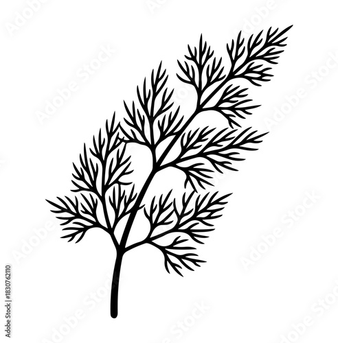 A black silhouette of a dill plant against a white background