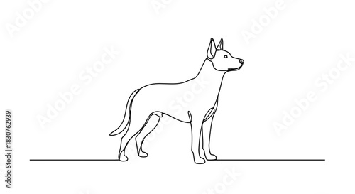 Single line drawing of a standing dog with pointy ears on a white background in minimalist style