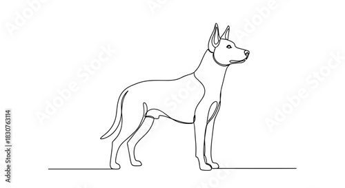 Continuous line drawing of a standing dog with pointed ears in a minimalist style illustration art