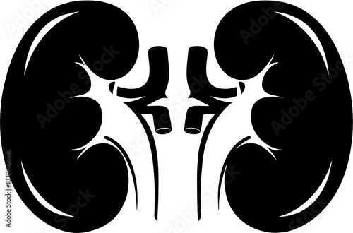 Stylized black silhouette illustration of human kidneys, a vital part of the urinary system and renal anatomy for medical and scientific concepts