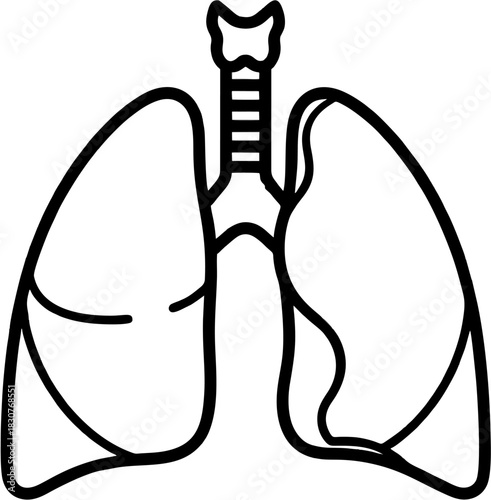 Minimalist line art icon of human lungs and trachea, a simple vector illustration symbolizing respiratory health, breathing, and medical anatomy