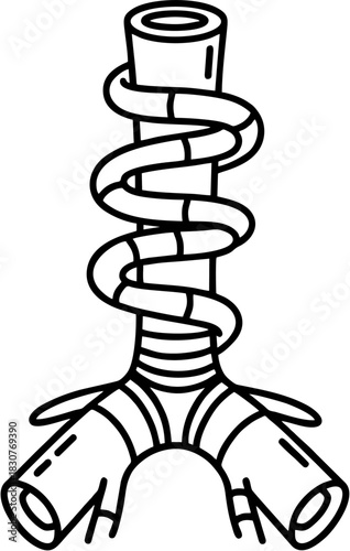 Modern line art illustration of the human trachea and branching bronchi, representing vital air passages. Perfect for medical, educational, and scientific graphics related to the respiratory system
