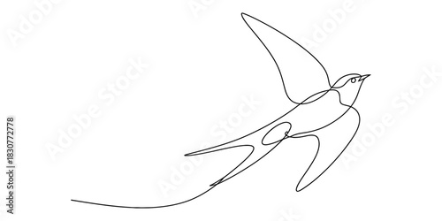Continuous line drawing of a graceful swallow or swift in flight, capturing the essence of freedom and natural beauty in minimalist art. Vector, illustration