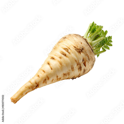 Single parsnip, light beige, dark brown spots, green leaves