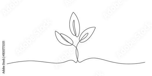 Minimalist continuous line art drawing of a young plant sprout with three leaves, symbolizing growth, nature, and organic life concepts. Vector, illustration
