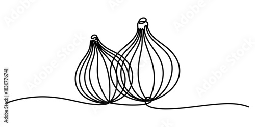 Continuous line art drawing of two fresh organic onions, perfect for minimalist cooking blogs, healthy food packaging design, or kitchen decor illustrations Vector, illustration