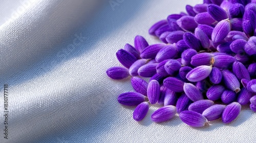 Close-up of a pile of purple lavender buds resting on a white, textured fabric. The image is lit with soft, natural light.