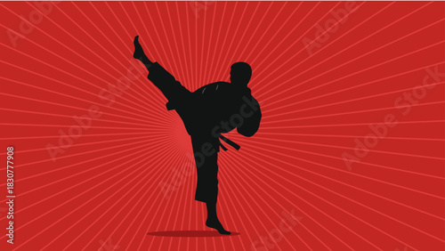 Karate Kick Silhouette Against Red Burst Martial Arts Self Defense and Fitness