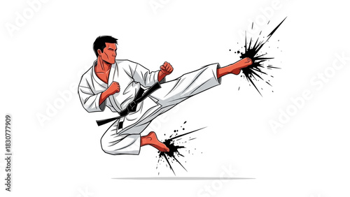 Dynamic Karate Kick Illustration Martial Arts Power and Precision