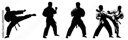 Karate Training Silhouettes Martial Arts Techniques and Self Defense