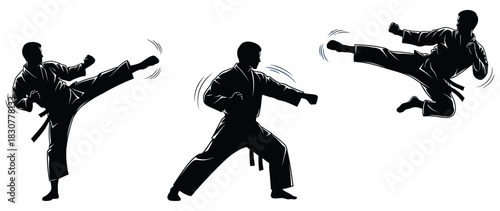 Karate Kicks Silhouette Vector Illustration of Martial Arts Moves