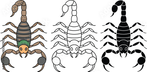 Scorpion silhouette & Outline and illustration set isolated on transparent background