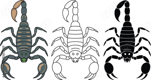 Scorpion silhouette & Outline and illustration set isolated on transparent background