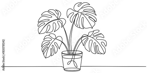 Monstera plant one continuous line art drawing tropical houseplant in minimalist pot on clean background, botanical decor, nature inspired vector. Vector, illustration