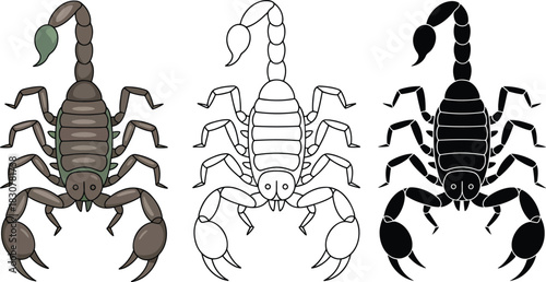 Scorpion silhouette & Outline and illustration set isolated on transparent background