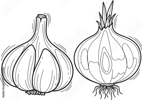 Hand drawn garlic and onion vegetables in black and white sketch