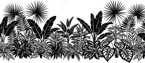 Black and white tropical leaves border, exotic jungle plants silhouette vector illustration, dense palm foliage frame for summer nature background design