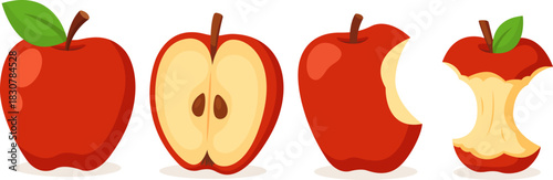 Set red apples. Ripe, half, whole and bitten apple, an apple stump isolated on white background. Vector illustration in flat style