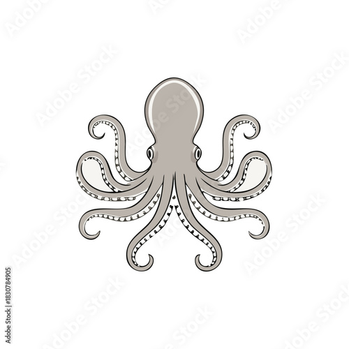 Detailed Gray Octopus Illustration with Curling Tentacles and Sucker Details