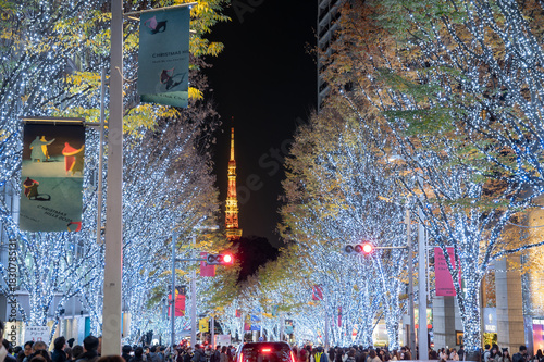 白色ライトに彩られた都心の並木道と東京タワー
