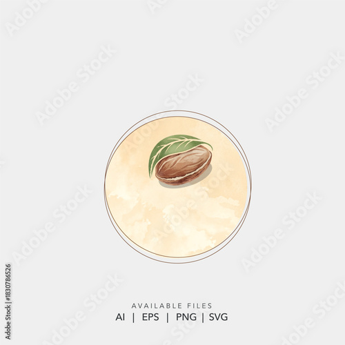 Natural organic shea nut icon with green leaf for cosmetic logo , Vector illustration of almond or argan nut symbol