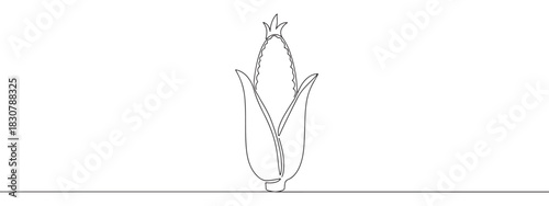 Continuous one thin smooth line simple minimalistic drawing of an ear of corn on a white background
