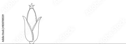 Continuous one thin smooth line simple minimalistic drawing of an ear of corn on a white background