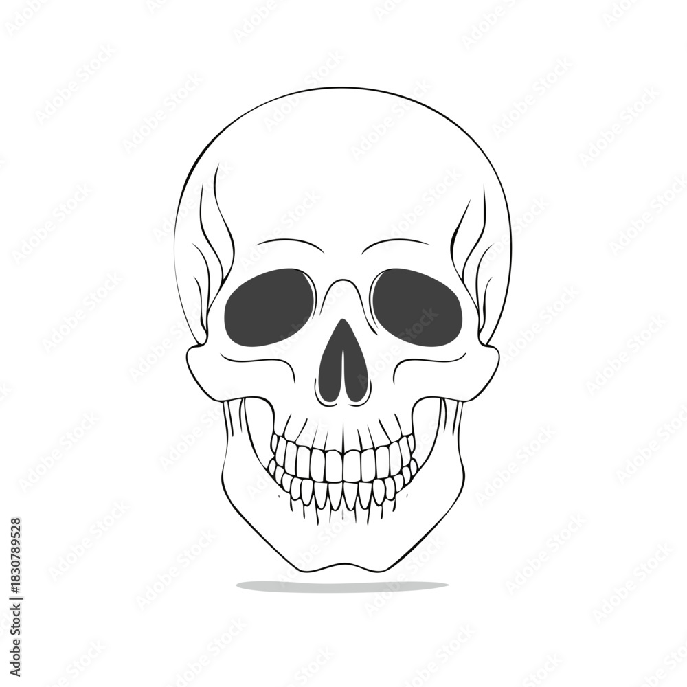 Obraz premium Simple Line Art Human Skull with Dark Eye Sockets and Detailed Teeth