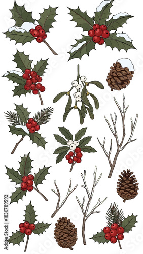 A collection of festive winter botanical elements including holly branches with red berries and snow, mistletoe, pine cones, and bare branches.