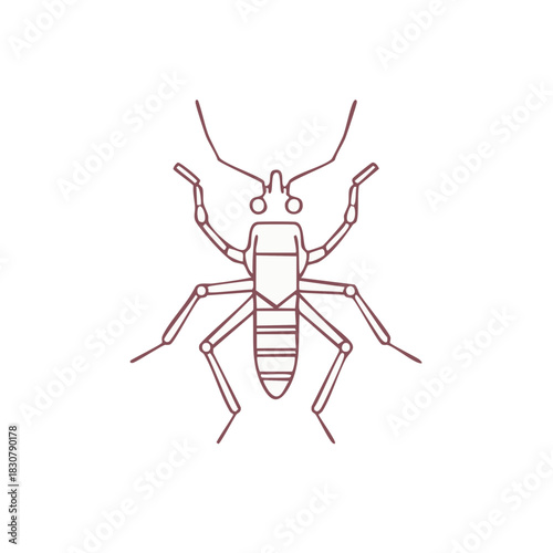 Illustration of a Pale Brown Colored Stick Insect