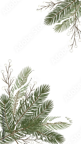 Decorative arrangement of green pine branches and white berries on a clean white background, perfect for winter or holiday designs.