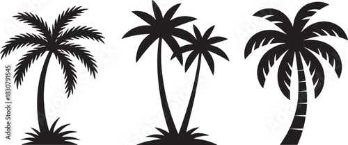 Three Black Silhouette Palm Trees On White Background tropical nature