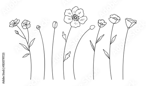 Set of wildflowers and buds, black line art style, white background. Hand-drawn various flowers and leaves. Wild plants for design projects. Vector illustration