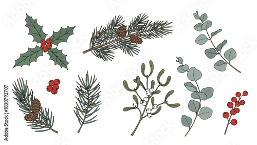 A collection of hand-drawn winter holiday botanical elements including holly, pine branches, mistletoe, eucalyptus, and red berries on a white background.