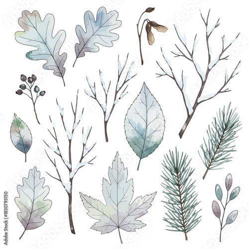 Watercolor illustration of winter foliage, including leaves, branches, and pine needles, in a soft, muted color palette.