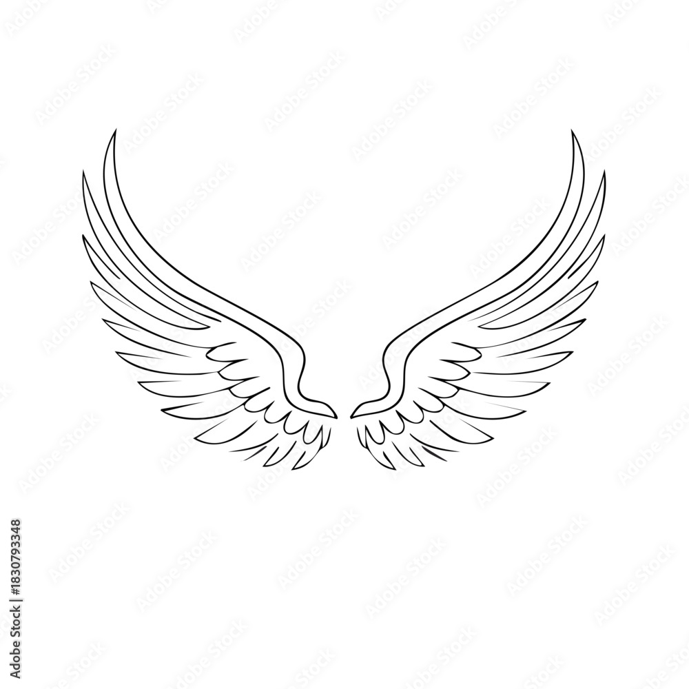 Obraz premium Outline drawing of stylized bird or angel wings spreading upwards on a white background